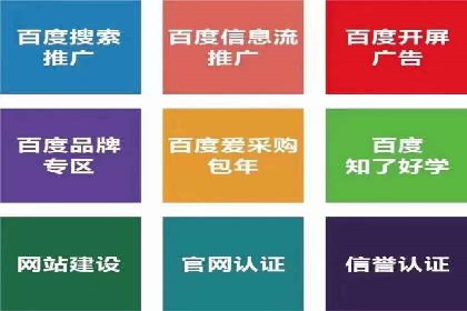 案例解读：SEO与SEM优化助力电商崛起